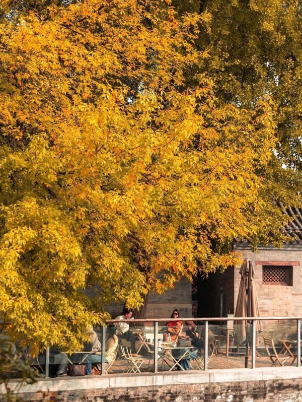 启泰网 最近，你的手机里也多了这个“宝贝”吗？