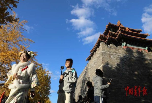 鑫优配 故宫角楼银杏黄