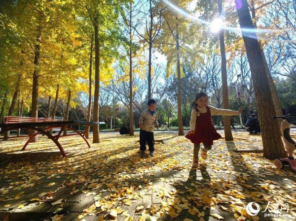 鹏配资 红黄交织美景 河南郑州赏秋正当时